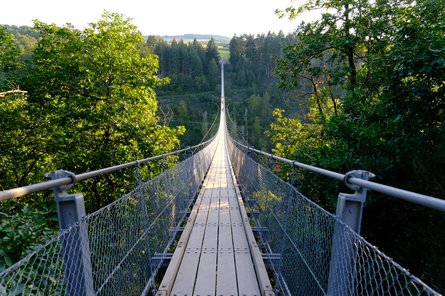 Alle Exkursionen enden mit einer Besichtigung der Geierlay-Brücke bei Mörsdorf. Vor Ort gibt es einen inhaltlichen Beitrag zur regionalen Wertschöpfung durch Windkraft sowie der Errichtung der Brücke. 