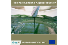 #EuropaAufDemLand: Algen-Proteine aus Norddeutschland