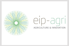What is EIP-Agri?
