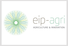 Europäische Innovationspartnerschaften (EIP)